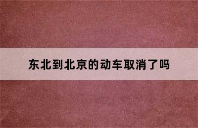 东北到北京的动车取消了吗