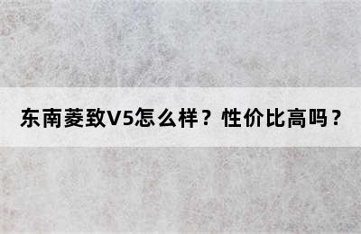 东南菱致V5怎么样？性价比高吗？