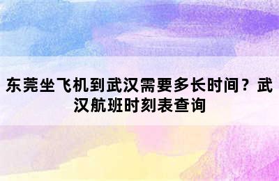 东莞坐飞机到武汉需要多长时间？武汉航班时刻表查询