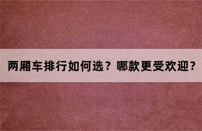 两厢车排行如何选？哪款更受欢迎？