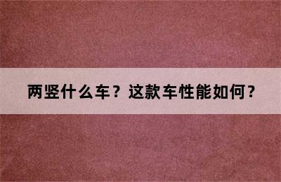 两竖什么车？这款车性能如何？