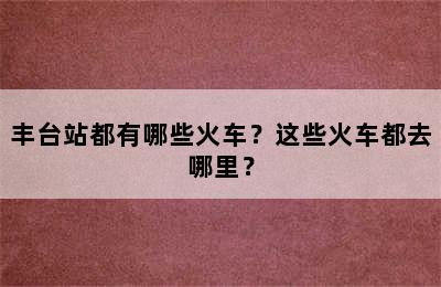 丰台站都有哪些火车？这些火车都去哪里？