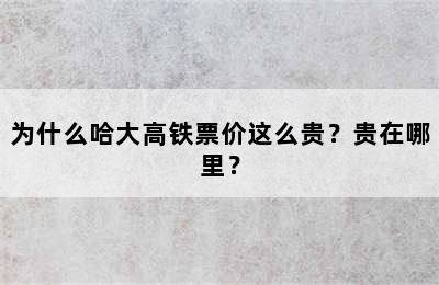 为什么哈大高铁票价这么贵？贵在哪里？