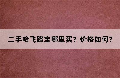 二手哈飞路宝哪里买？价格如何？