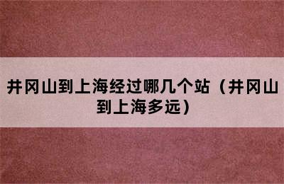 井冈山到上海经过哪几个站（井冈山到上海多远）