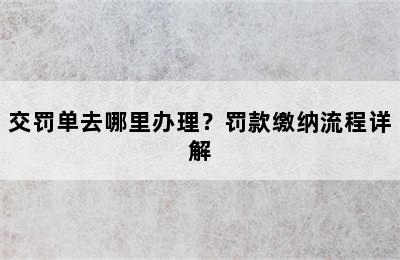 交罚单去哪里办理？罚款缴纳流程详解