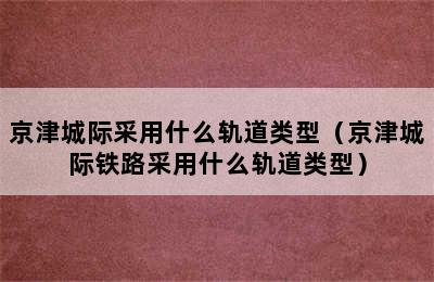 京津城际采用什么轨道类型（京津城际铁路采用什么轨道类型）