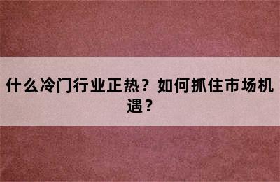 什么冷门行业正热？如何抓住市场机遇？