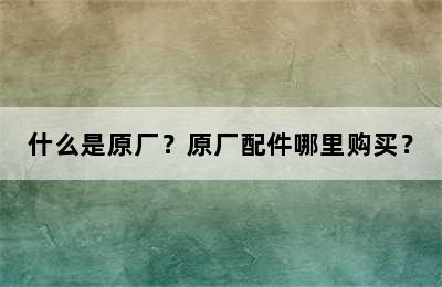 什么是原厂？原厂配件哪里购买？