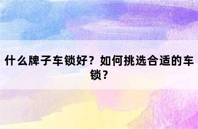 什么牌子车锁好？如何挑选合适的车锁？