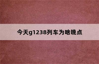 今天g1238列车为啥晚点