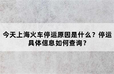 今天上海火车停运原因是什么？停运具体信息如何查询？