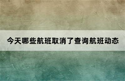 今天哪些航班取消了查询航班动态