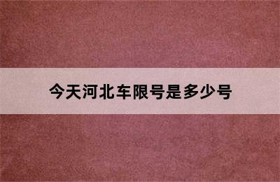 今天河北车限号是多少号