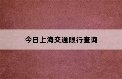 今日上海交通限行查询