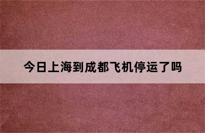 今日上海到成都飞机停运了吗