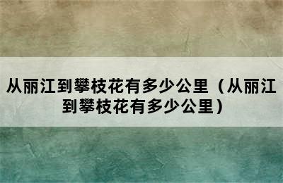 从丽江到攀枝花有多少公里（从丽江到攀枝花有多少公里）