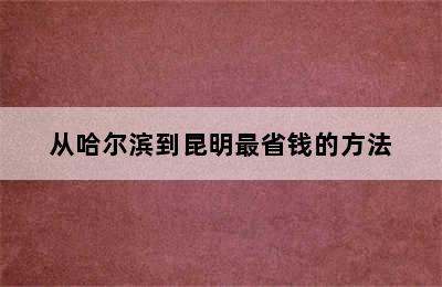 从哈尔滨到昆明最省钱的方法