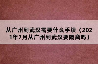 从广州到武汉需要什么手续（2021年7月从广州到武汉要隔离吗）