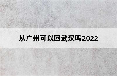 从广州可以回武汉吗2022