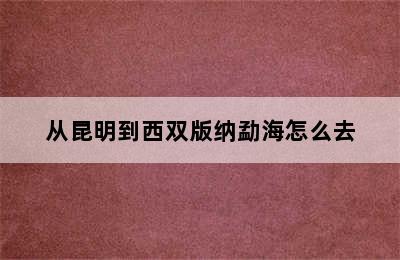 从昆明到西双版纳勐海怎么去