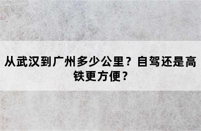 从武汉到广州多少公里？自驾还是高铁更方便？