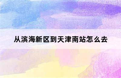 从滨海新区到天津南站怎么去