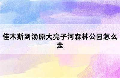 佳木斯到汤原大亮子河森林公园怎么走