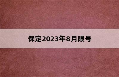 保定2023年8月限号