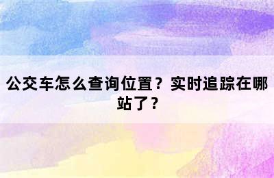 公交车怎么查询位置？实时追踪在哪站了？