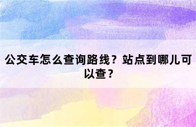 公交车怎么查询路线？站点到哪儿可以查？