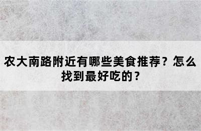 农大南路附近有哪些美食推荐？怎么找到最好吃的？