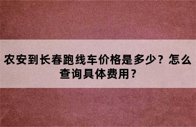 农安到长春跑线车价格是多少？怎么查询具体费用？