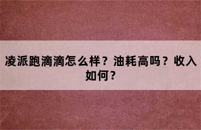 凌派跑滴滴怎么样？油耗高吗？收入如何？