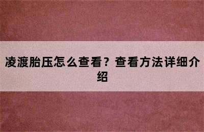 凌渡胎压怎么查看？查看方法详细介绍