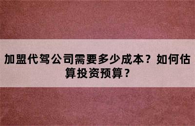 加盟代驾公司需要多少成本？如何估算投资预算？