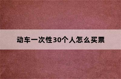 动车一次性30个人怎么买票