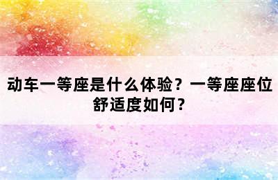 动车一等座是什么体验？一等座座位舒适度如何？