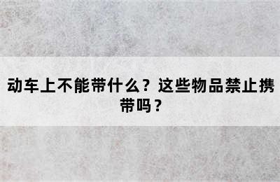 动车上不能带什么？这些物品禁止携带吗？