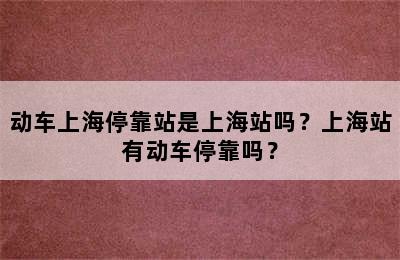 动车上海停靠站是上海站吗？上海站有动车停靠吗？