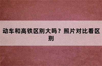 动车和高铁区别大吗？照片对比看区别