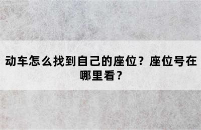 动车怎么找到自己的座位？座位号在哪里看？