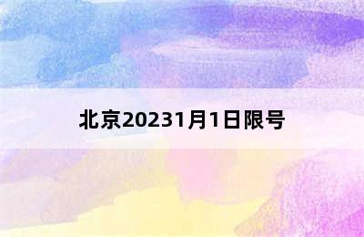 北京20231月1日限号