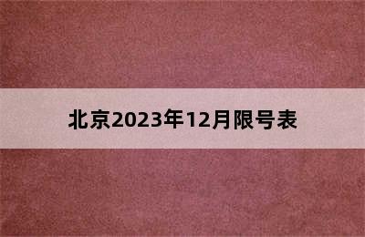 北京2023年12月限号表