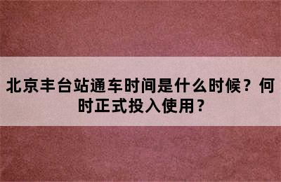 北京丰台站通车时间是什么时候？何时正式投入使用？