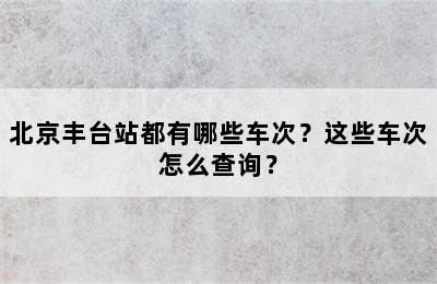 北京丰台站都有哪些车次？这些车次怎么查询？