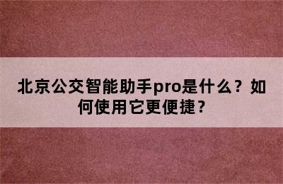 北京公交智能助手pro是什么？如何使用它更便捷？