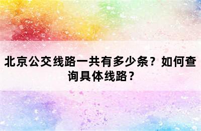 北京公交线路一共有多少条？如何查询具体线路？