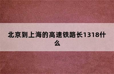 北京到上海的高速铁路长1318什么