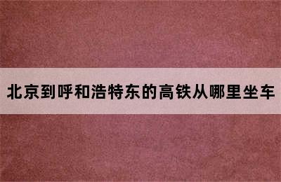 北京到呼和浩特东的高铁从哪里坐车